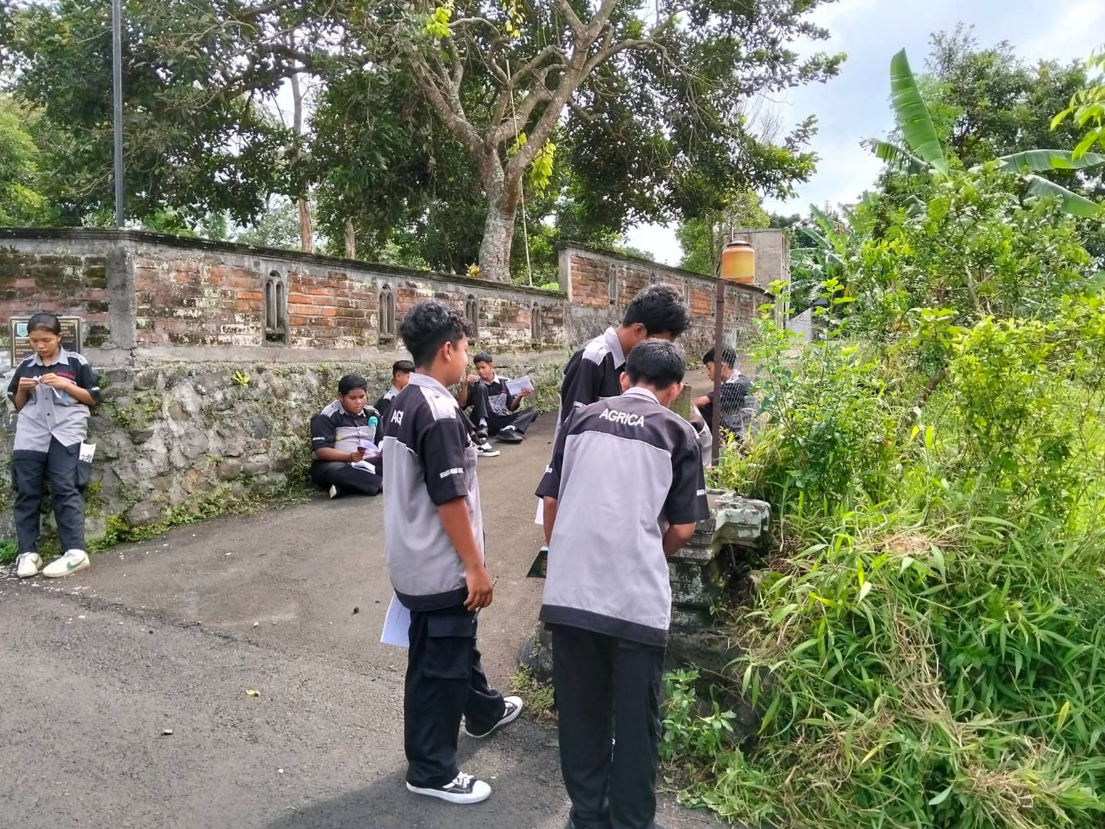 Seni Budaya
