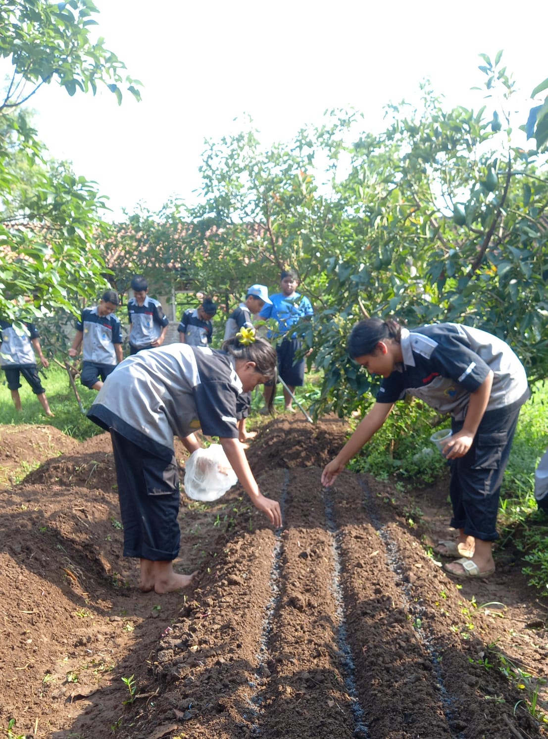 Dasar-Dasar Agribisnis Tanaman